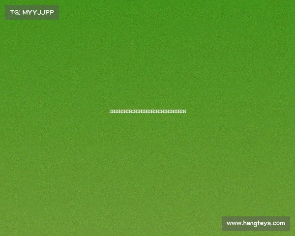 河北邢台电子竞技专业、《筑梦电竞：邢台打造专业人才培养新高地》